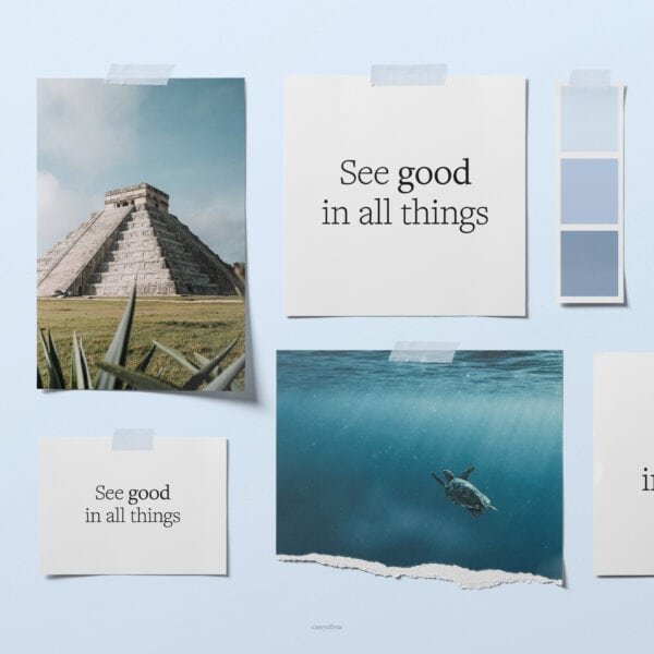 dream or mood board quote see the good in everything