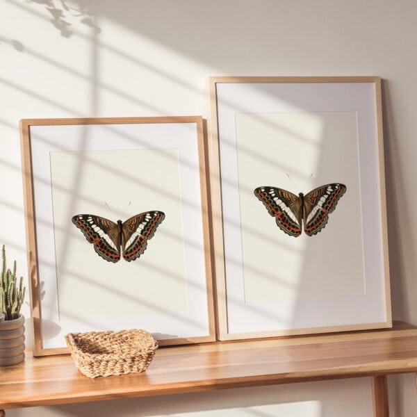 vintage style printable wall decor with butterfly in brown and orange